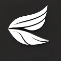 My Website